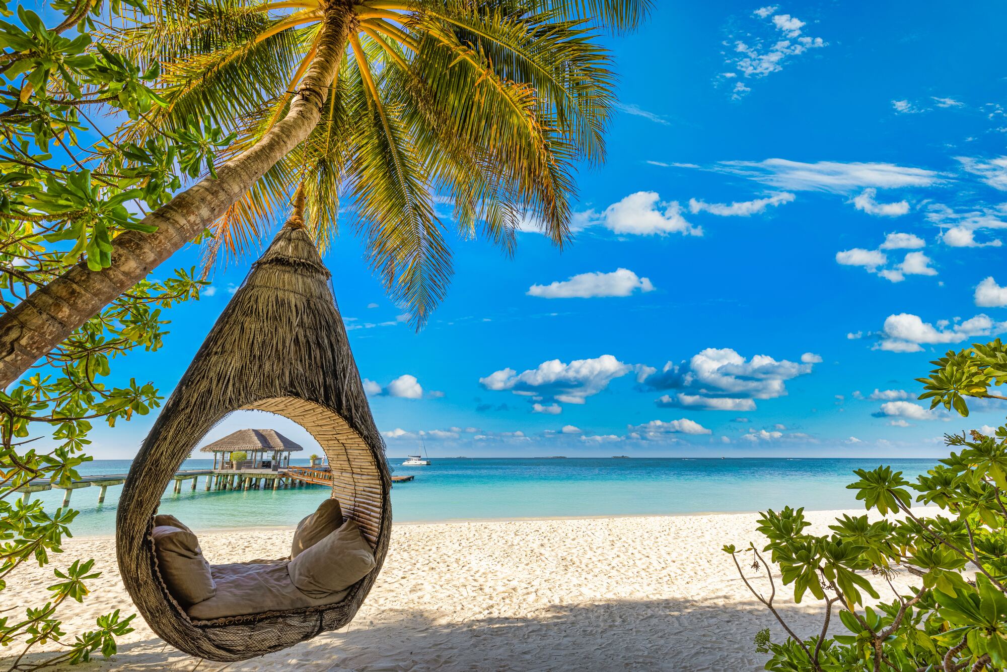 Hamaca colgante bajo una palmera en una playa de Maldivas